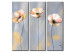 Obraz Pastelowe maki (3-częściowy) - pojedyncze jasne kwiaty na szarym tle 48558