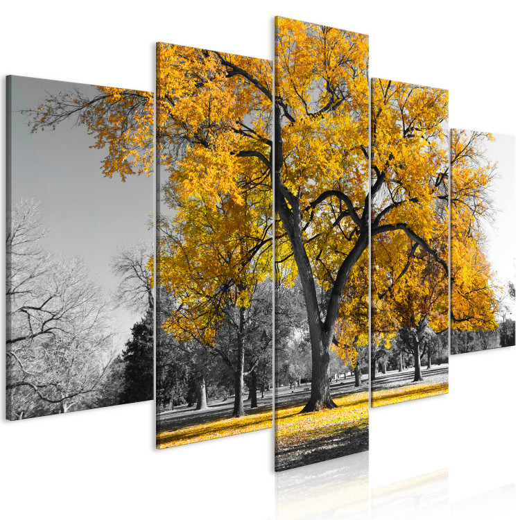 Obraz Jesień w parku (5-częściowy) szeroki złoty 122768 additionalImage 2