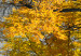Obraz Jesień w parku (5-częściowy) szeroki złoty 122768 additionalThumb 4
