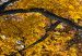 Obraz Jesień w parku (5-częściowy) szeroki złoty 122768 additionalThumb 5