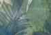 Fototapeta Pole bananowe w dżungli - egzotyczny motyw roślinny z zielonymi liśćmi 135568 additionalThumb 4