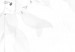 Obraz w kształcie koła Czarno biały - różnorodne drobne listki opadające w dół 148678 additionalThumb 2