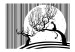 Fototapeta Czarno-biała noc w paski - kot siedzący na drzewie na tle księżyca 61278 additionalThumb 1