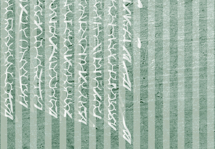 Fototapeta Liście w paskach - biały deseń liści na zielonym tle z prążkowaniem 143798 additionalImage 3