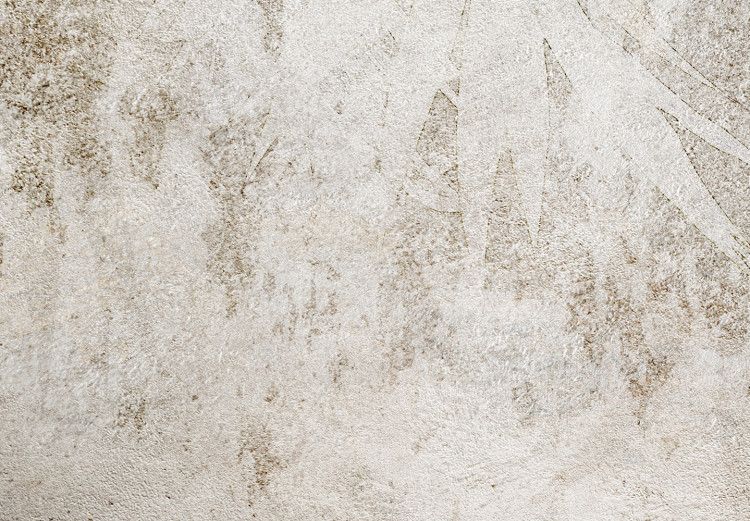 Fototapeta Etiuda natury - beżowe abstrakcyjne tło z kształtami liści w tle 148598 additionalImage 4