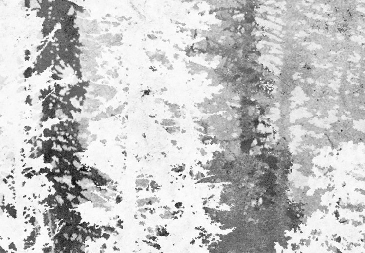 Fototapeta Odlatujące ptaki - pejzaż abstrakcyjnego lasu w szarościach i bieli 144709 additionalImage 3
