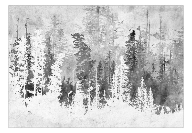 Fototapeta Odlatujące ptaki - pejzaż abstrakcyjnego lasu w szarościach i bieli 144709 additionalImage 1
