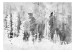 Fototapeta Odlatujące ptaki - pejzaż abstrakcyjnego lasu w szarościach i bieli 144709 additionalThumb 1