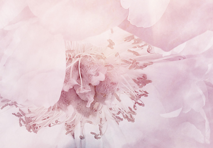 Fototapeta Roślinna myśl - grafika z mglistymi kwiatami na różowym tle 145319 additionalImage 3