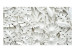 Fototapeta Gipsowa roślinność - biała przestrzenna kompozycja liści i kwiatów 146419 additionalThumb 1