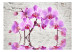 Fototapeta Fioletowy zachwyt - orchidee zanurzone w wodzie na tle białego muru 62019 additionalThumb 1