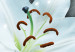 Fototapeta Orientalny ornament - dwa duże kwiaty lilii na azjatyckim tle 123329 additionalThumb 3