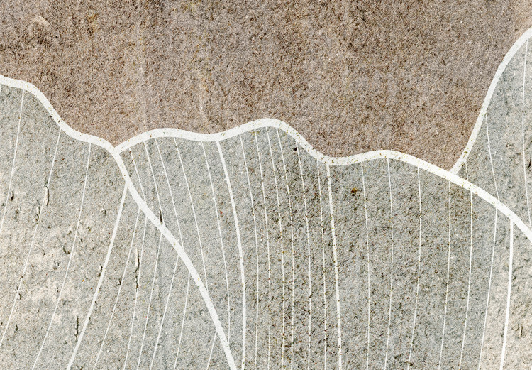 Fototapeta Abstrakcyjny minimalizm - egzotyczna kompozycja z motywem roślinnym 136329 additionalImage 3