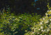 Obraz koło Kobieta w ogrodzie, Claude Monet - wiosenny pejzaż roślinności 148729 additionalThumb 3