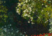 Obraz koło Kobieta w ogrodzie, Claude Monet - wiosenny pejzaż roślinności 148729 additionalThumb 4