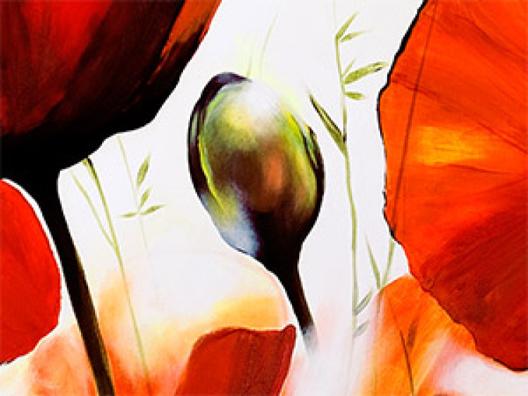 Obraz Kwitnąca natura (1-częściowy) - motyw roślinny z czerwonymi makami 46629 additionalImage 2