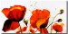Obraz Kwitnąca natura (1-częściowy) - motyw roślinny z czerwonymi makami 46629