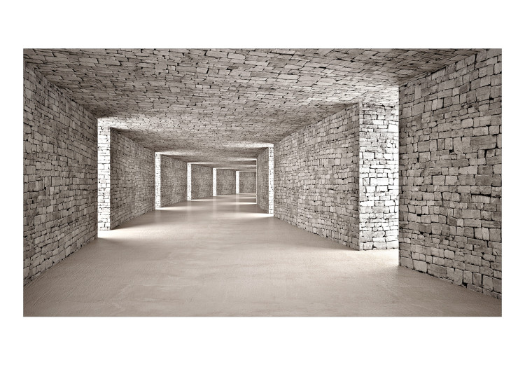 Fototapeta Tunel 3D - powiększająca wnętrze przestrzeń z dekoracyjnym kamieniem 146449 additionalImage 1