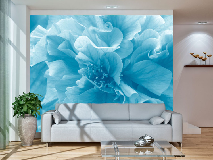 Fototapeta Niebieskie azalie - zbliżenie na płatki kwiatów w jasnych kolorach 60449