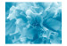 Fototapeta Niebieskie azalie - zbliżenie na płatki kwiatów w jasnych kolorach 60449 additionalThumb 1
