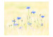 Fototapeta Chabry - łąka z niebieskich kwiatów na jasnym tle w stylu vintage 60459 additionalThumb 1