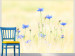 Fototapeta Chabry - łąka z niebieskich kwiatów na jasnym tle w stylu vintage 60459