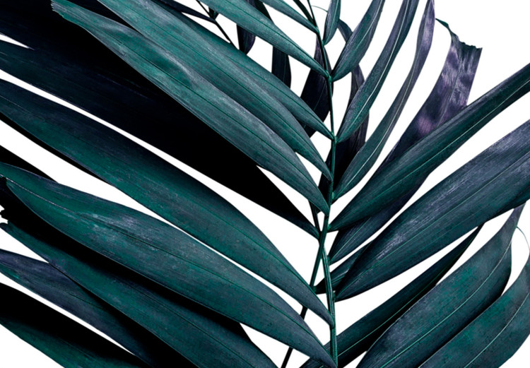 Obraz Tropikalne detale - egzotyczna roślinność z motywem graficznym 118069 additionalImage 4