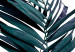 Obraz Tropikalne detale - egzotyczna roślinność z motywem graficznym 118069 additionalThumb 4