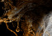 Obraz XXL Złoty jeleń II [Large Format] 137569 additionalThumb 5