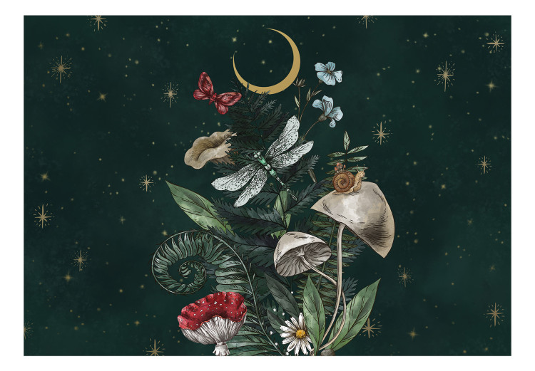 Fototapeta Natura lasu - księżyc, grzyby, rośliny i zwierzęta na tle gwiazd 145369 additionalImage 1