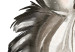 Obraz Rysunkowa, radosna zebra - kompozycja stylizowana na akwarelę 136379 additionalThumb 4