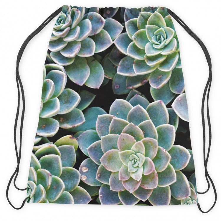 Worek plecak Symetria sukulentów - roślinna kompozycja z bogatym detalem 147379 additionalImage 2