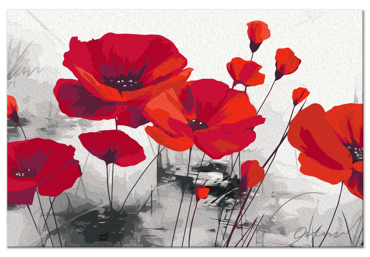 Obraz do malowania po numerach Czerwone maki - pole dojrzałych kwiatów na szarym tle 148879 additionalImage 3