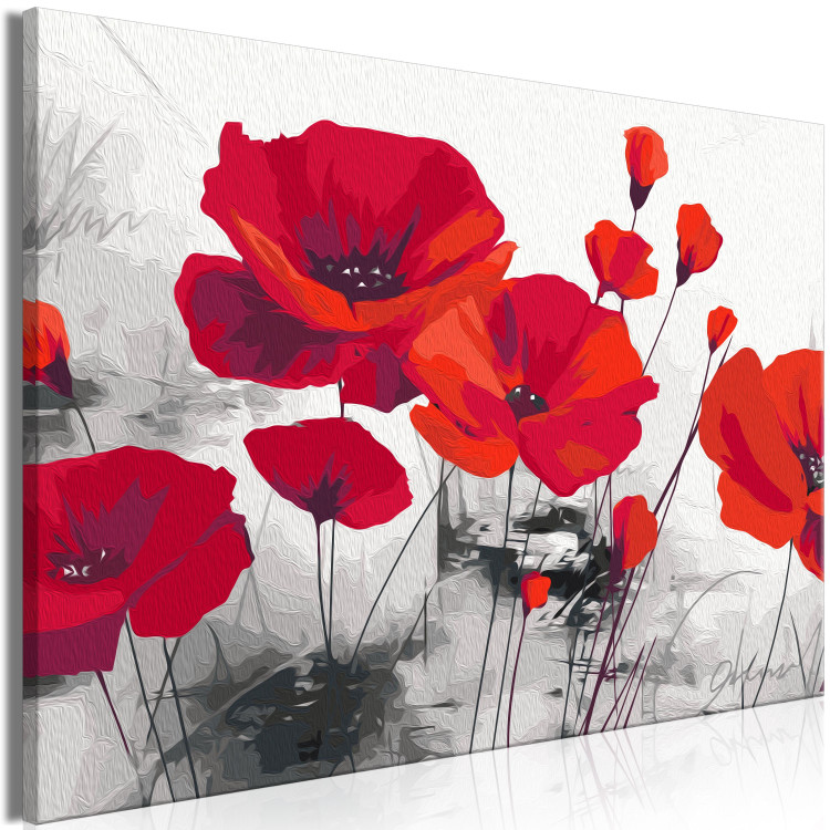 Obraz do malowania po numerach Czerwone maki - pole dojrzałych kwiatów na szarym tle 148879 additionalImage 5