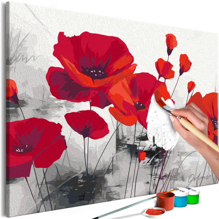 Obraz do malowania po numerach Czerwone maki - pole dojrzałych kwiatów na szarym tle 148879 additionalImage 7