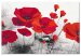 Obraz do malowania po numerach Czerwone maki - pole dojrzałych kwiatów na szarym tle 148879 additionalThumb 3