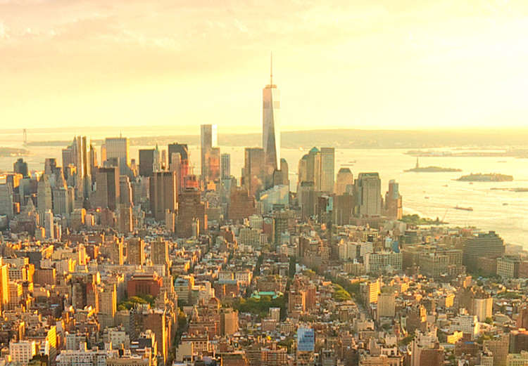 Fototapeta Nowy Jork - pejzaż z architekturą Manhattanu i kamiennymi elementami 96979 additionalImage 3