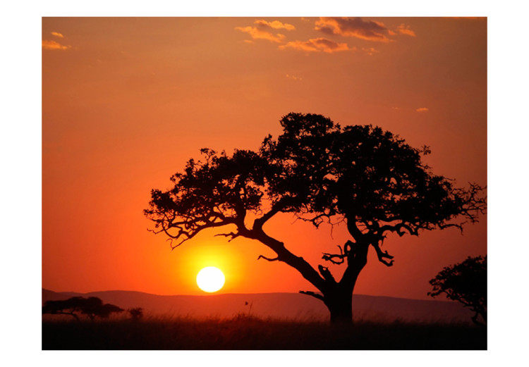 Fototapeta Afryka: zachód słońca 60489 additionalImage 1