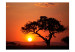 Fototapeta Afryka: zachód słońca 60489 additionalThumb 1