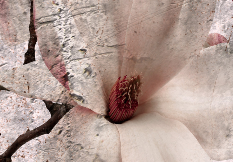 Obraz Pamiątkowa magnolia (1-częściowy) pionowy 118599 additionalImage 4