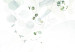 Fototapeta Kaskada zieleni - delikatne gałązki pełne listków na jasnym tle 146399 additionalThumb 4